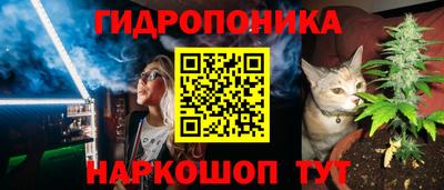 сатива Новодвинск
