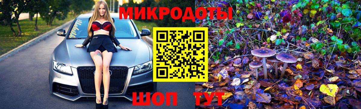 Галлюциногенные грибы Cubensis  Вход с VPN  Сосновоборск 